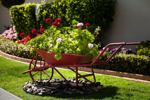 Flowers in wheelbarrow at Renaissance